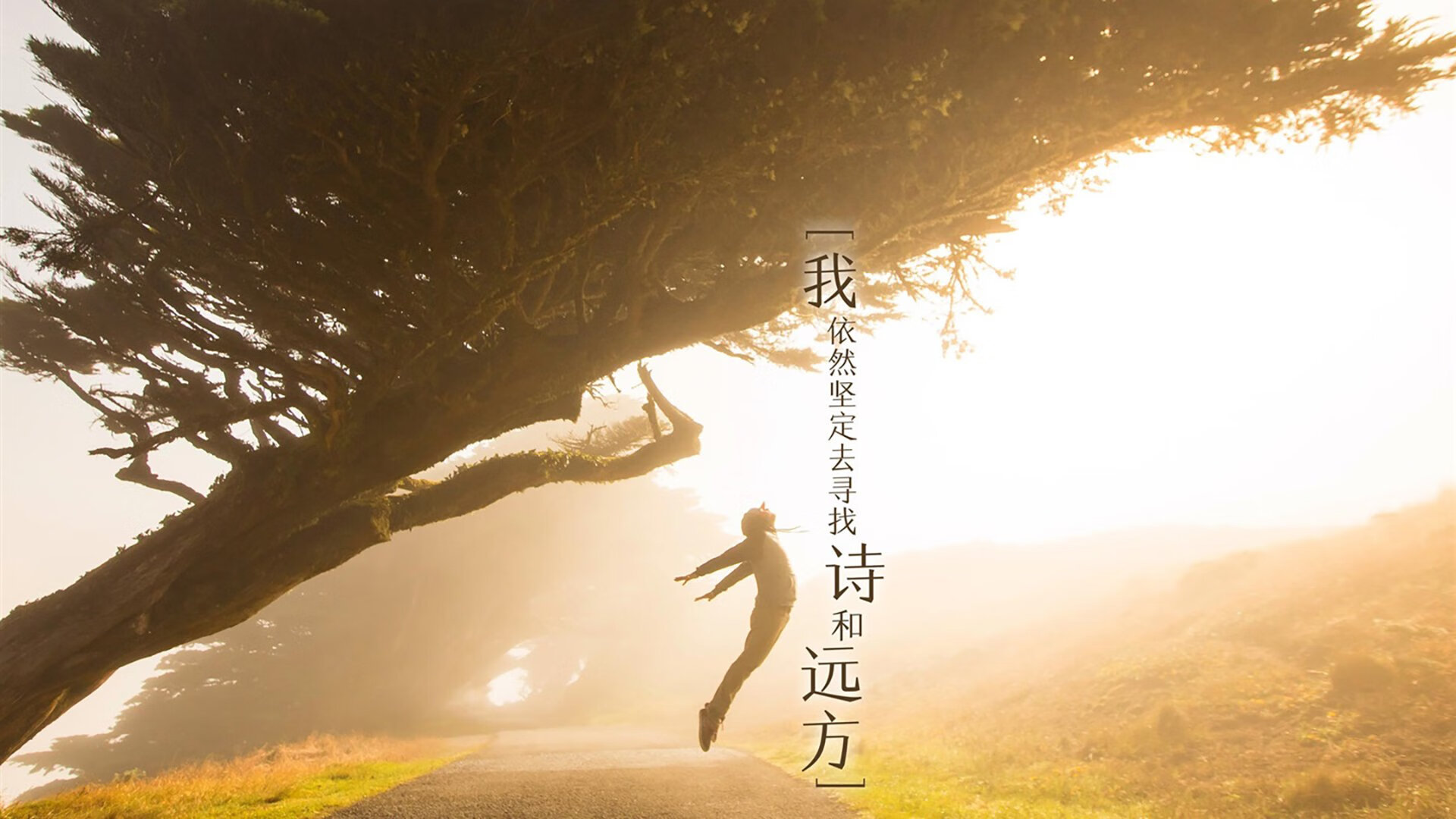 开云体育官网app-世界陀螺锦标赛中国队首次参赛即获佳绩，陀螺比赛现场