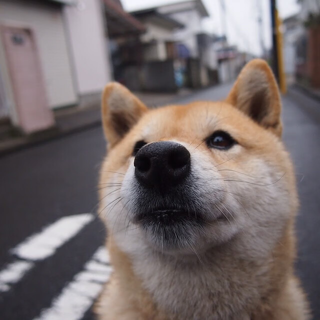 开云体育-塞维利亚继续冲击欧洲大赛,成绩不断提升